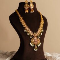 RAJANIKA HAAR SET