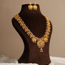 RAJANIKA HAAR SET