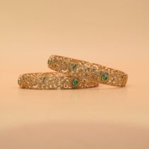 ANVISHA BANGLES