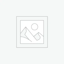 Necklaces & Pendants